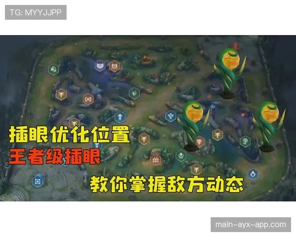 顶级选手的视野预判：他是如何通过敌方位置推算对方眼位区域的