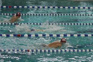 爱游戏下载-中国游泳运动员世锦赛接力项目表现抢眼，中国游泳接力夺金